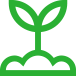 Continúe Plantando