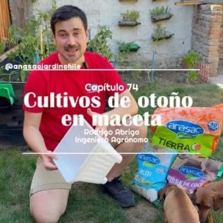 ¡Disfruta de una cosecha otoñal! Con Anasac Jardín y el Dr. Jardín, aprende a cultivar hortalizas y hierbas en macetas durante esta temporada. Te enseñaremos a elegir las plantas adecuadas, a preparar las macetas y cuidar tus cultivos para obtener una cosecha abundante y deliciosa. #AnasacJardín #CultivosDeOtoño #HuertoUrbano