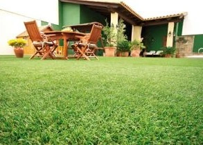 Cuidado del pasto en verano